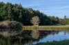 gagelbos_052_small.jpg