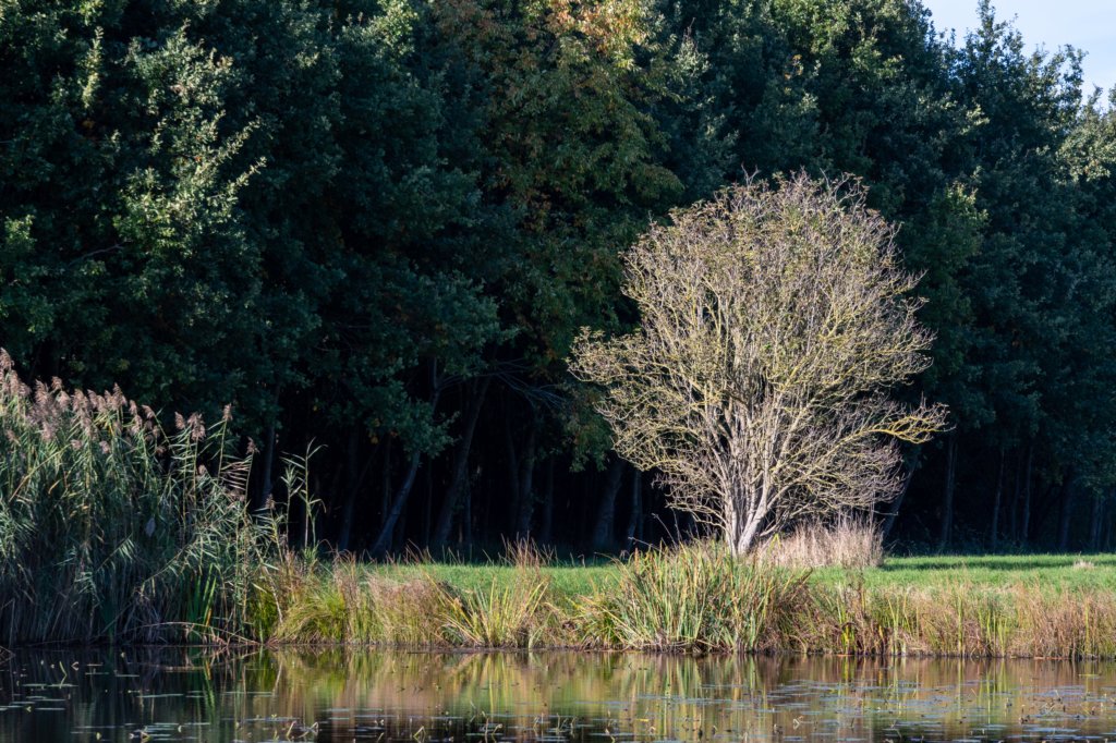 gagelbos_053.jpg