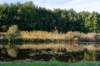 gagelbos_054_small.jpg