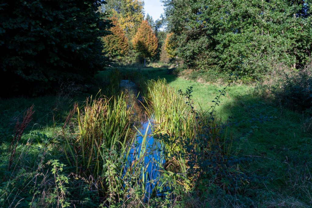 gagelbos_056.jpg