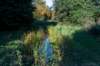 gagelbos_056_small.jpg