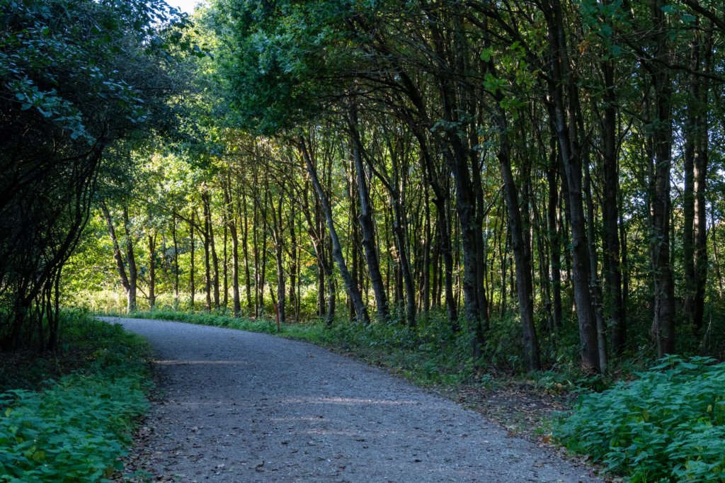 gagelbos_057.jpg