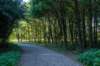 gagelbos_057_small.jpg