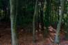 gagelbos_058_small.jpg
