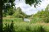 ruigenhoek_001_small.jpg