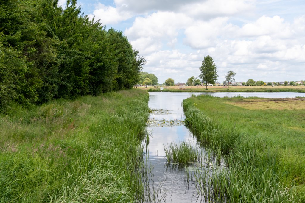 ruigenhoek_002.jpg