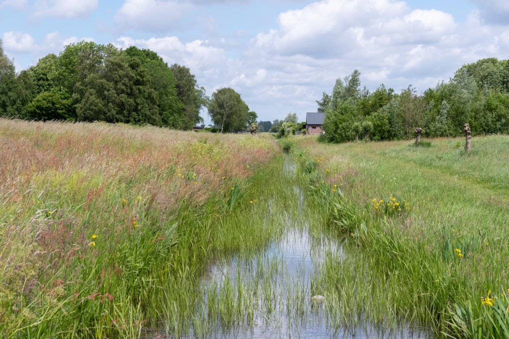 ruigenhoek_006.jpg