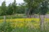ruigenhoek_008_small.jpg