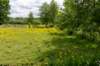 ruigenhoek_011_small.jpg