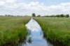 ruigenhoek_019_small.jpg