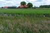 ruigenhoek_022_small.jpg