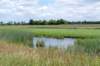 ruigenhoek_023_small.jpg