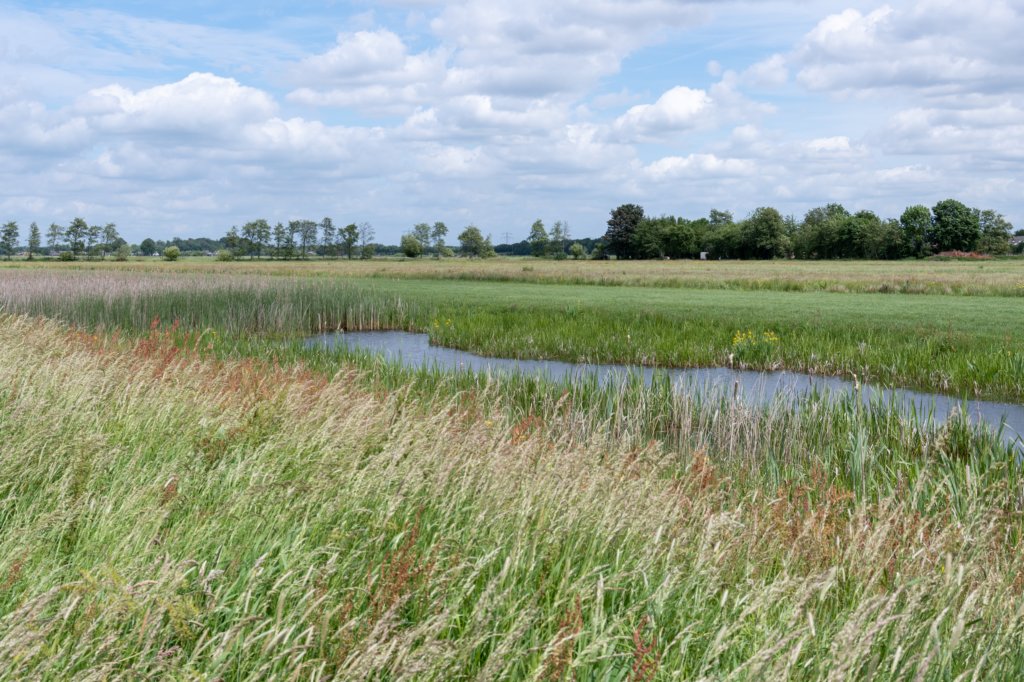 ruigenhoek_024.jpg