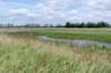 ruigenhoek_024_small.jpg