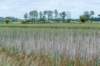 ruigenhoek_026_small.jpg