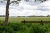 ruigenhoek_030_small.jpg