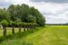 ruigenhoek_031_small.jpg