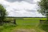 ruigenhoek_033_small.jpg