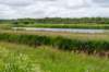 ruigenhoek_037_small.jpg