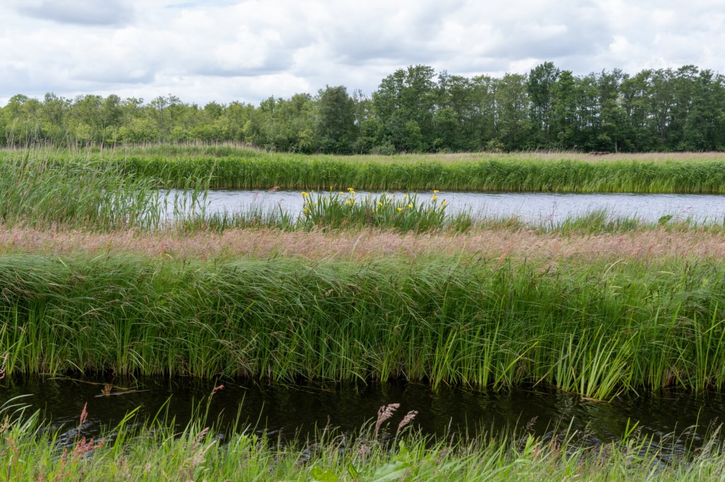 ruigenhoek_038.jpg