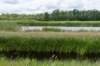 ruigenhoek_038_small.jpg