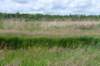ruigenhoek_039_small.jpg