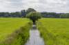 ruigenhoek_040_small.jpg