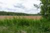 ruigenhoek_042_small.jpg
