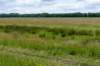 ruigenhoek_044_small.jpg