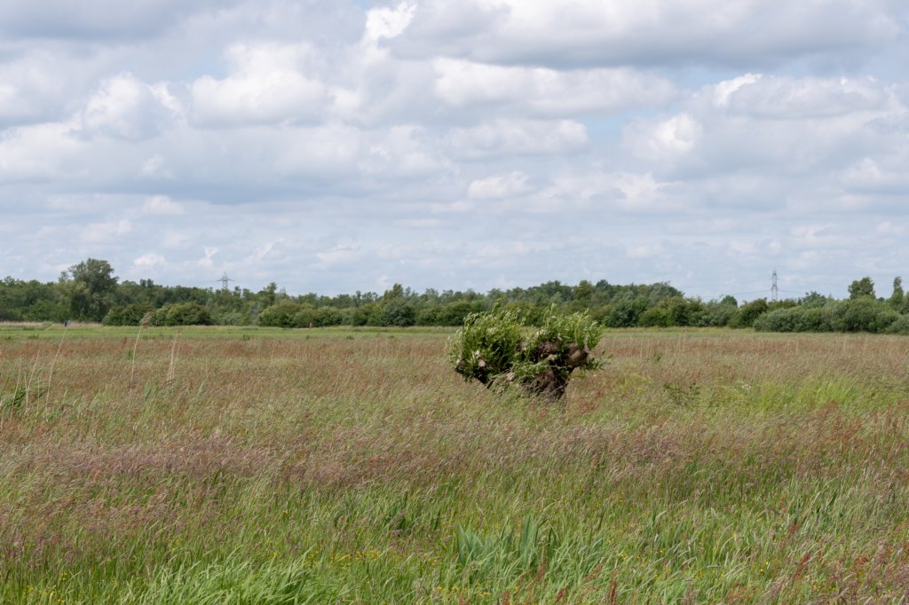 ruigenhoek_046.jpg
