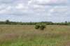 ruigenhoek_046_small.jpg