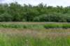 ruigenhoek_047_small.jpg