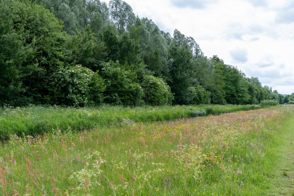 ruigenhoek_050.jpg