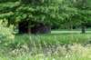 ruigenhoek_051_small.jpg