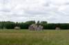 ruigenhoek_055_small.jpg