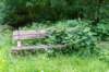 ruigenhoek_056_small.jpg