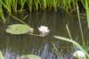ruigenhoek_061_small.jpg
