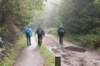 maarn_doorn_002_small.jpg