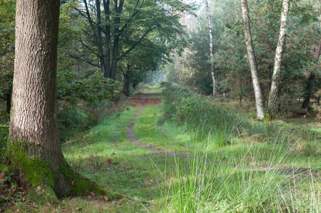 maarn_doorn_005.jpg