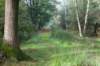 maarn_doorn_005_small.jpg