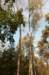 maarn_doorn_008_small.jpg
