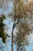 maarn_doorn_009_small.jpg