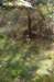 maarn_doorn_013_small.jpg