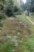 maarn_doorn_015_small.jpg