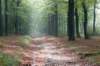 maarn_doorn_016_small.jpg