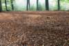 maarn_doorn_018_small.jpg