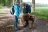 maarn_doorn_021_small.jpg