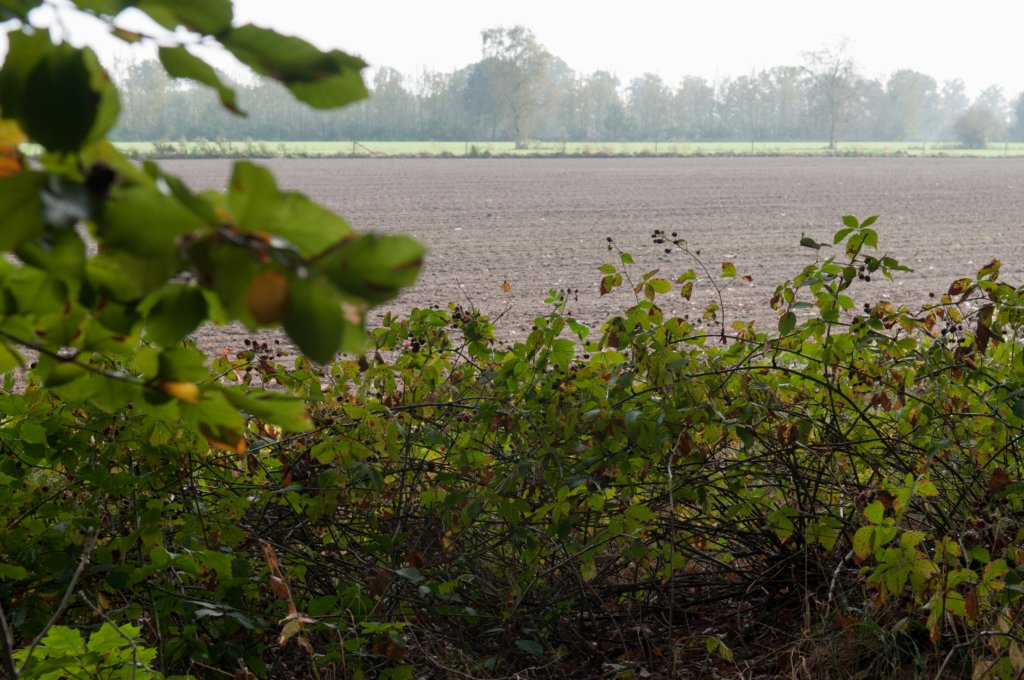 maarn_doorn_022.jpg