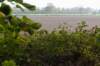 maarn_doorn_022_small.jpg