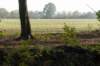 maarn_doorn_023_small.jpg